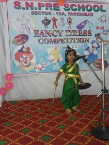 Fancy Dress Competition held in Sant Nirankari Pre School on 6 october 2016 (5)